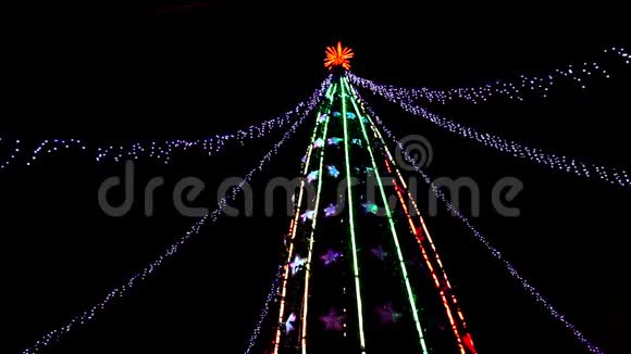 圣诞树圣诞树用黑色背景灯闪烁视频的预览图