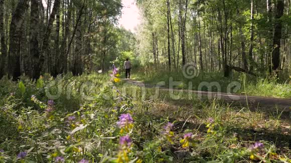 森林里美丽的晴天人们步行去参加运动一个中年男子沿着小径奔跑视频的预览图