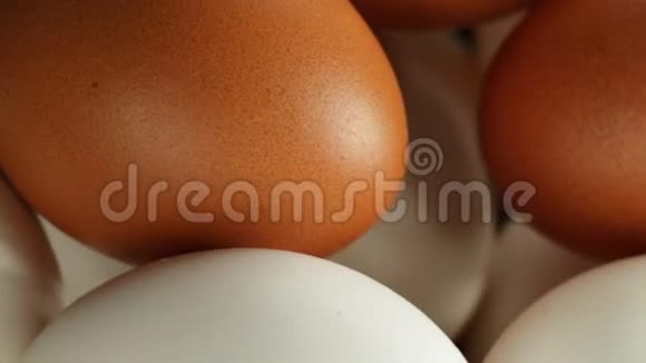 白色和棕色的鸡蛋视频的预览图