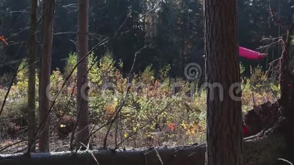 年轻的农村女孩走在原木上与秋天的森林对抗视频的预览图