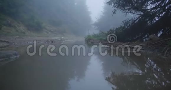 小湖环绕着高高的云杉树笼罩在雾气中视频的预览图