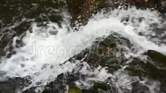 美丽的小瀑布森林里有干净的水慢动作视频的预览图
