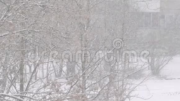 冬天下雪暴风雪帕瑟城市冬季背景视频的预览图