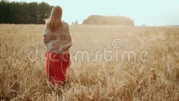 日落时分年轻的农民女孩穿过麦田现代农耕幸福青年和职业理念有机有机视频的预览图