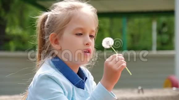 可爱的小女孩吹在蒲公英上这个女孩6岁在玩蒲公英在大自然中休息慢动作视频的预览图