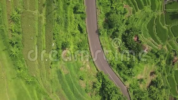 汽车行驶在亚细亚村的绿色稻田景观上Drone可以看到种植水稻种植和汽车道路视频的预览图