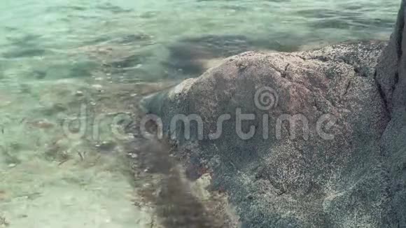 塞舌尔普拉斯林岛清澈的海水在岩石上翻滚小海蟹在石头上爬行旅游度假视频的预览图