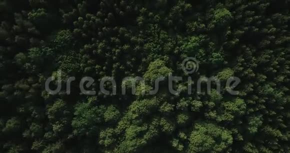 空中视频无人机飞越波兰的绿色大森林国家公园2019年夏天视频的预览图
