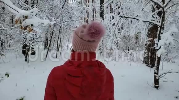 漫步在美丽的冬林中触摸树木享受大自然视频的预览图