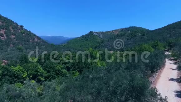 伊达山土耳其的卡兹达格拉里橄榄树枝和树叶在风中摇摆视频的预览图