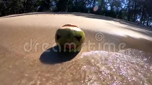 新鲜的绿色椰子雕刻着万圣节的脸晴天躺在沙滩上的沙滩上一股波浪撞击着它视频的预览图
