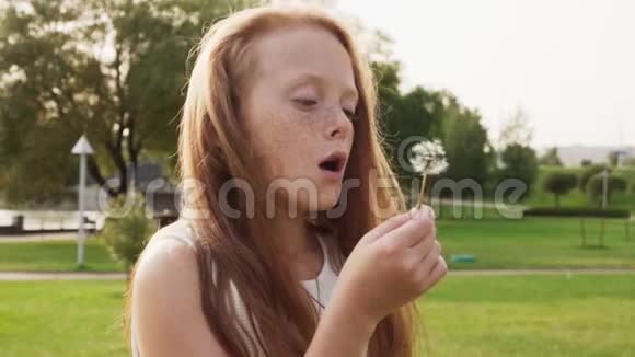美丽的红发小女孩在公园的蒲公英上吹着雀斑视频的预览图