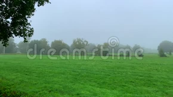 在田野的上方雾在陆地上飘来飘去形成了欢乐的气氛视频的预览图