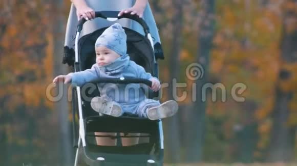 年轻的母亲带着婴儿马车在秋天的公园里散步秋季季节视频的预览图