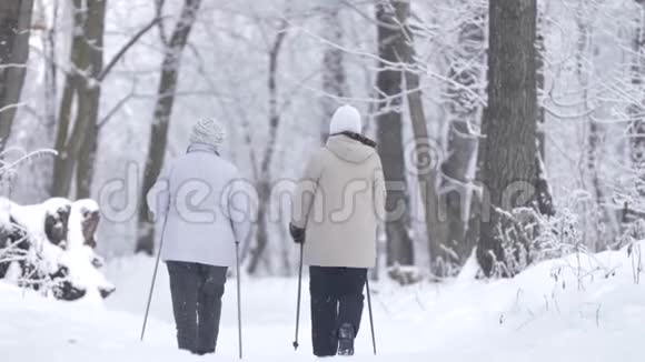 北欧老女人在大雪纷飞的冬季森林里散步后景视频的预览图