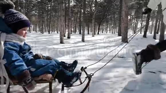 年轻活跃的母亲在冬天的公园里和她的孩子拉雪橇视频的预览图