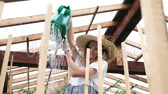 穿着草帽和连衣裙的时髦女人在温室的特写镜头中浇灌庄稼视频的预览图