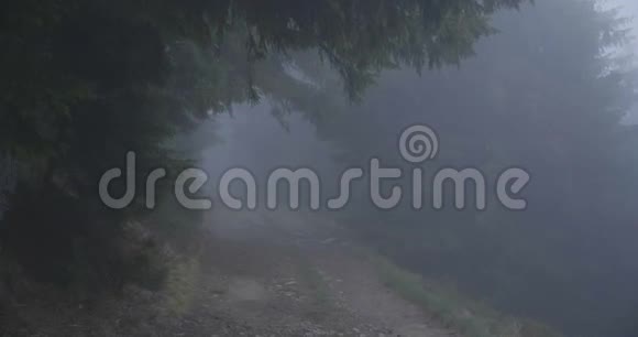 木草地覆盖着浓密的雾在秋天的喀尔巴阡山在斯洛文尼亚视频的预览图
