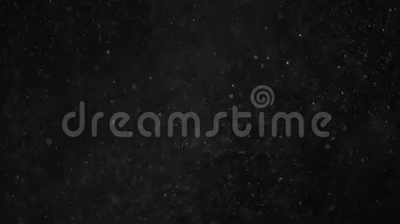 漂浮的白色灰尘在黑色背景上闪闪发光视频的预览图