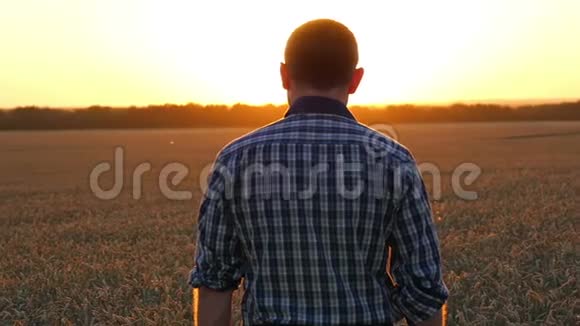 一个年轻的农民站在麦田里看着夕阳下金色的麦穗农业和商业一个男人视频的预览图