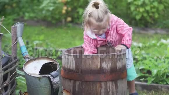 小女孩在花园里浇草莓视频的预览图