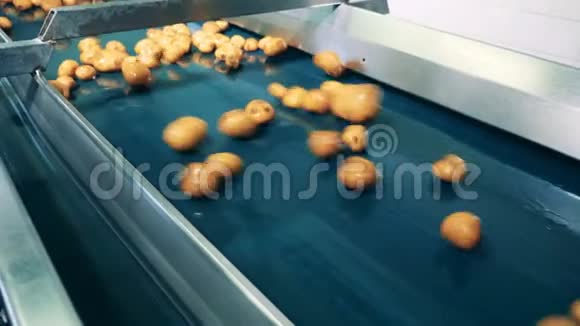 自动输送机在一家食品厂移动了大量的黄土豆视频的预览图