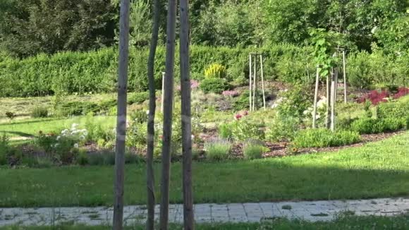 夏日公园的美丽花坛视频的预览图