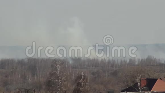 森林大火的浓烟和春天地平线上的干草燃烧毁灭视频的预览图