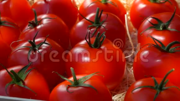 成熟多汁的红西红柿全景视频的预览图