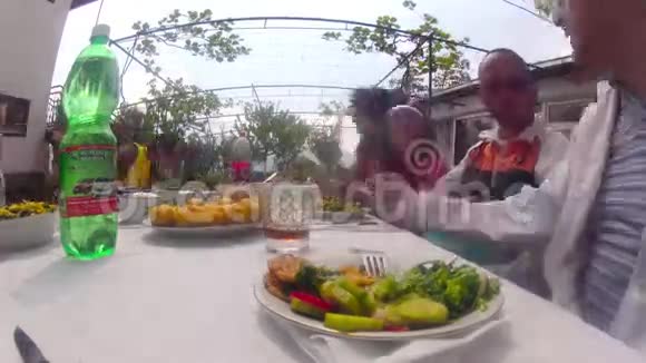 户外家庭野餐时间视频的预览图