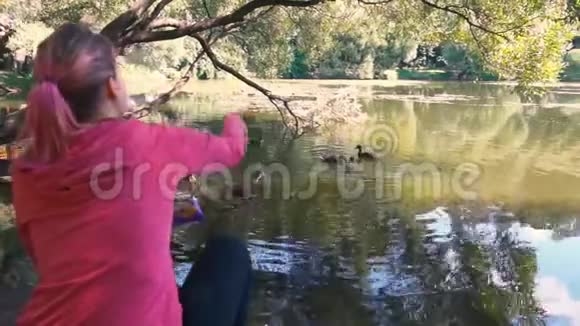 少女在公园里喂鸭子慢动作视频的预览图