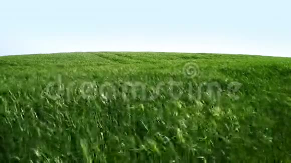 绿色的田野和风视频的预览图