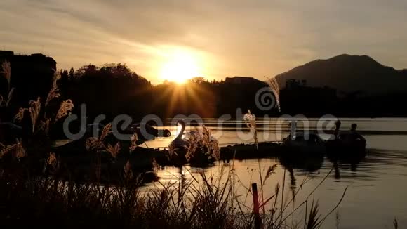 宁静的景色鸭蹬船和美丽的风景与日落山上视频的预览图