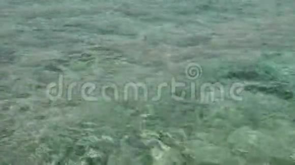 海洋或海洋的绿松石水面视频的预览图