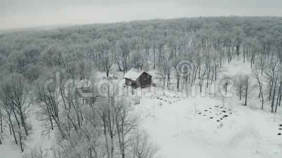 房子冬季森林视频的预览图