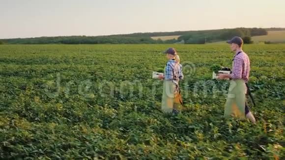 两个带着一盒蔬菜的农民沿着绿色的田野走着家庭农业综合企业概念视频的预览图