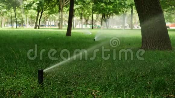 公园草地上的草地洒水装置视频的预览图