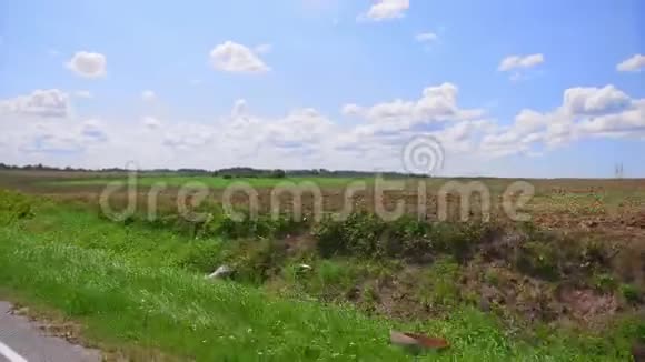 背景下种植园和农场土地的汽车侧窗视图晴天蓝天全垒打视频的预览图