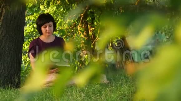 一个女孩坐在树旁看书视频的预览图