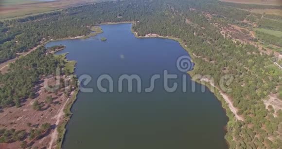 乌克兰风景蓝色湖泊和绿色森林全景视频的预览图