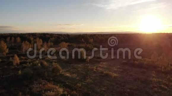 秋季草地的鸟瞰景观日落和自然镜头耀斑效果视频的预览图