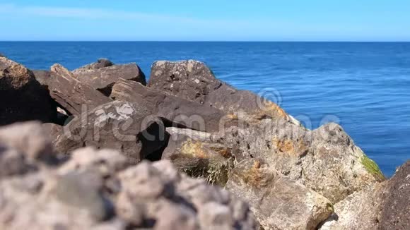 巨大的鹅卵石海海岸的野生自然蓝色清澈的水和天空海景视频的预览图