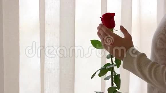 雄手和红玫瑰视频的预览图
