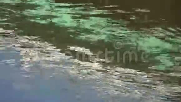 河流水色背景与城市倒影视频的预览图