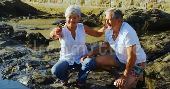 一对年长夫妇在海边抱着一只鸟视频的预览图