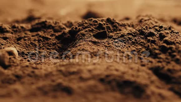 巧克力碎片落入可可粉的碎饼干视频的预览图