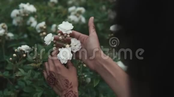 女人的手紧紧碰到一朵玫瑰她的手指上有一只手视频的预览图
