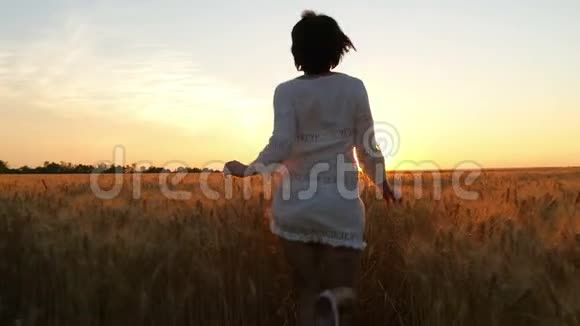 一个穿着白色连衣裙的年轻女子在日落的背景下沿着麦田奔跑视频的预览图