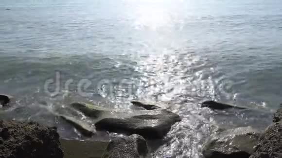 海边的海和岩石海洋和岩石视频的预览图