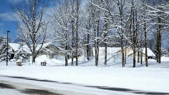 暴风雪过后一个住宅区的橡树在房屋前的积雪堆前结了新雪视频的预览图